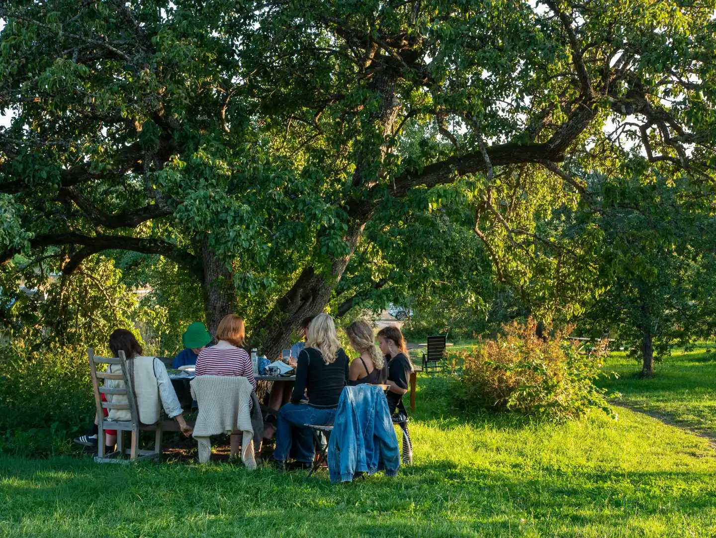 Large group gathered outdoors at a community picnic